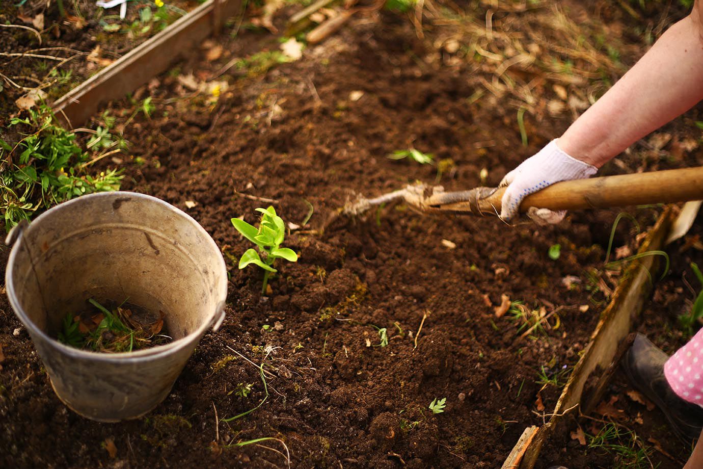 Organic Vegetable Gardening Tips & Articles | Natural Garden Help