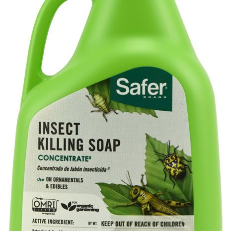 Safer Brand Insect Killing Soap Concentrate 16oz