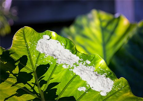 Garden Dust With B.T. Powder | 8oz | Safer® Brand