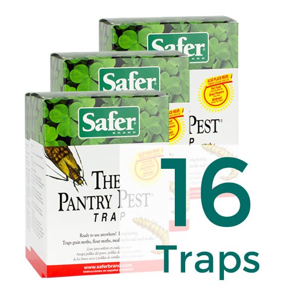 The Pantry Pest Pantry Moth Trap 16 Traps Safer Brand