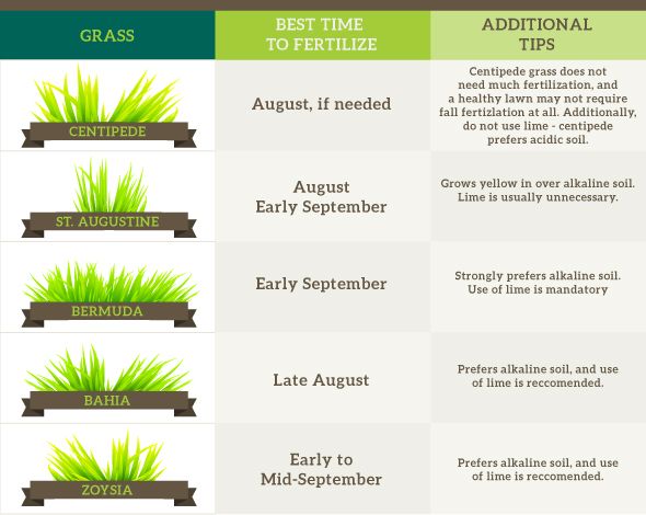 fall-lawn-care-guide