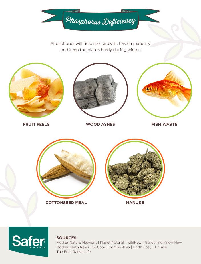 Recipes to Make Great Compost