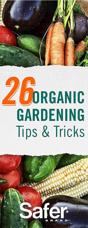 Helpful Organic Gardening Tips