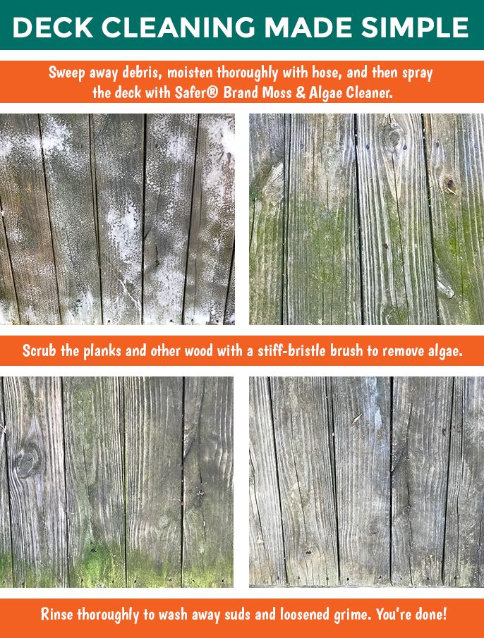 How To Remove Algae From A Wood Deck