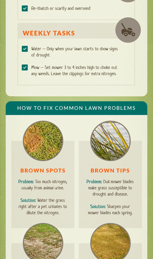 Do-It-Yourself Organic Lawn Care