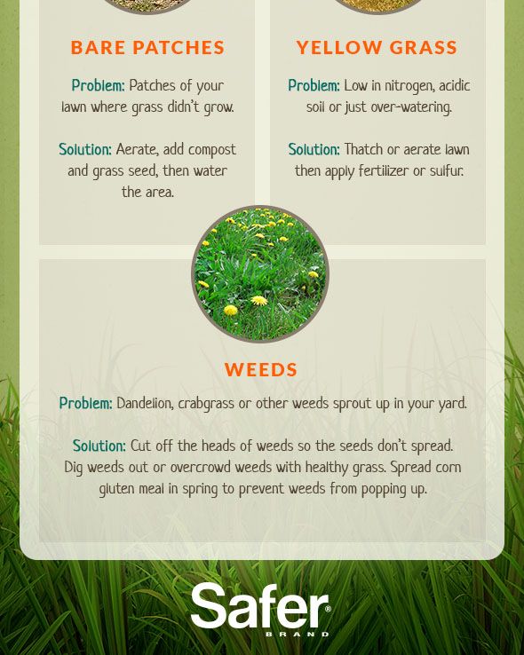 Do It Yourself Organic Lawn Care