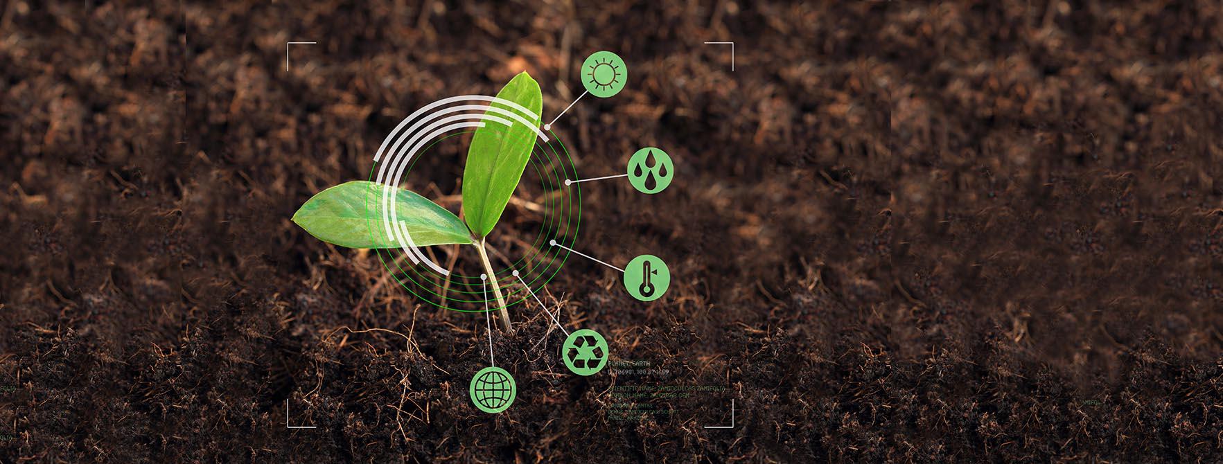 Organic Soil Biology Articles & Resources | Natural Lawn Care