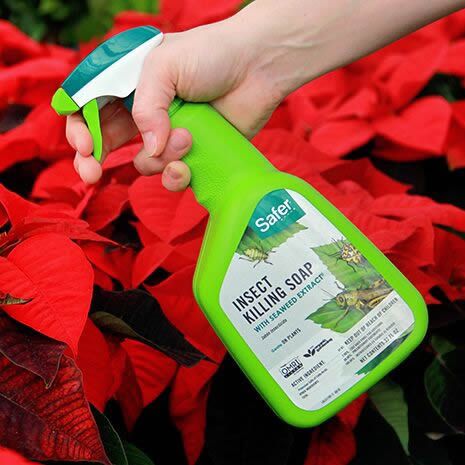 6 Pack Safer Brand Insect Killing Soap Rtu 32oz Saferbrand