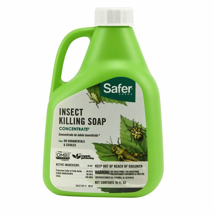 soap safer brand insect killing concentrate