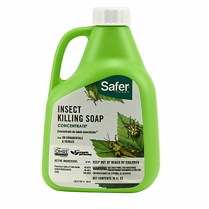 Safer Brand Insect Killing Soap Concentrate 16oz