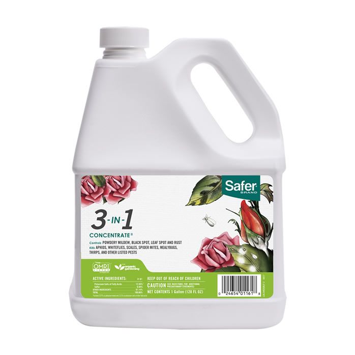 Safer ® Brand 3-w-1 koncentrat w sprayu ogrodowym 1 gal