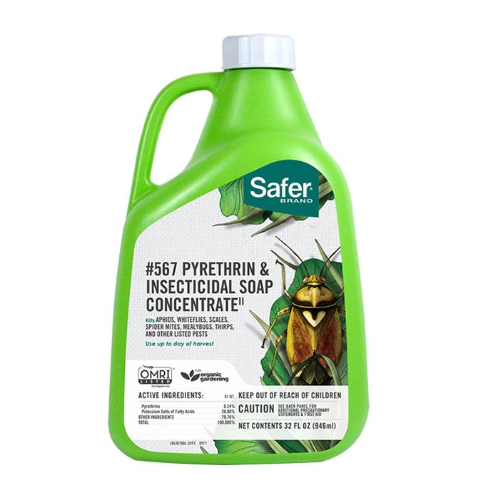 Jabón Insecticida Marca Safer ® Concentrado de Piretrina 32oz