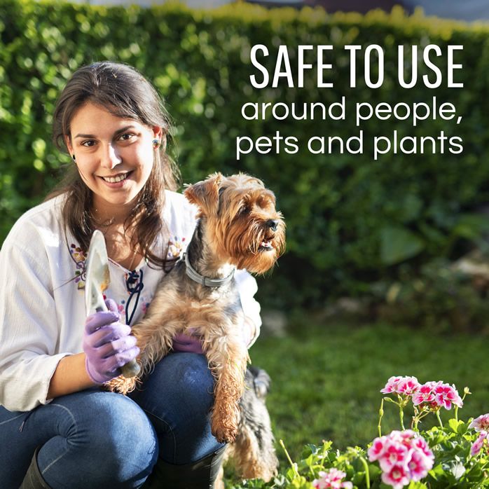 dog friendly snake repellent