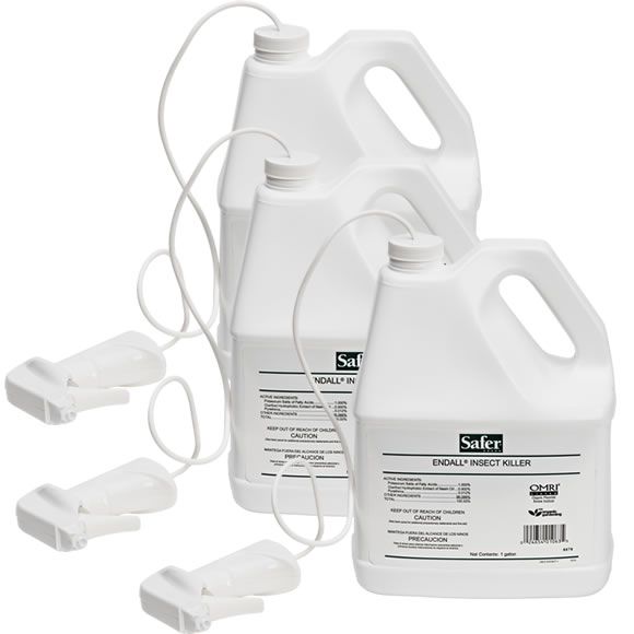 3 Pack Safer® Brand End ALL® With Neem Oil RTU 1 gal Saferbrand