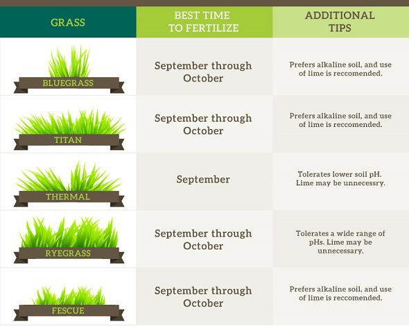 lawn fertilizer schedule