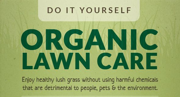 organic lawn treatment