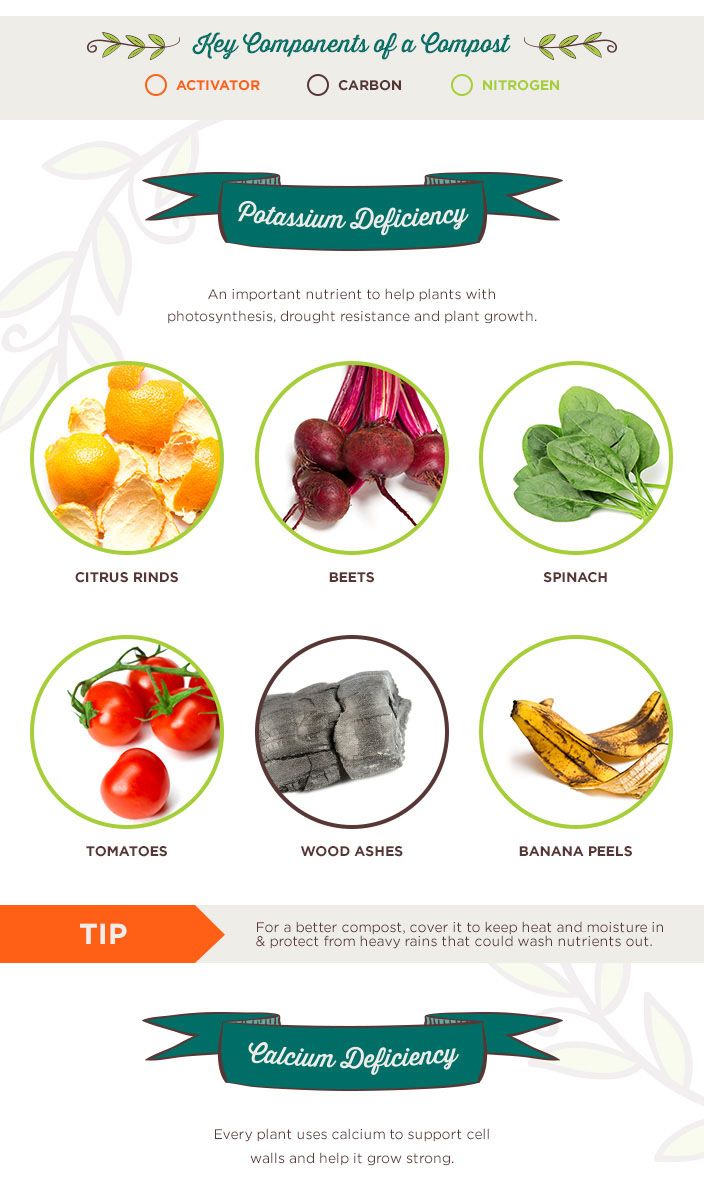 Recipes to Make Great Compost